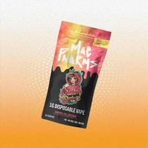 wintergreen vape disposable Wintergreen Foger Bit 35K Disposable Vape Review